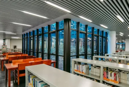 Lion Wins Casino Mobile App